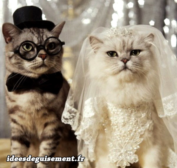 Déguisements chats mariés