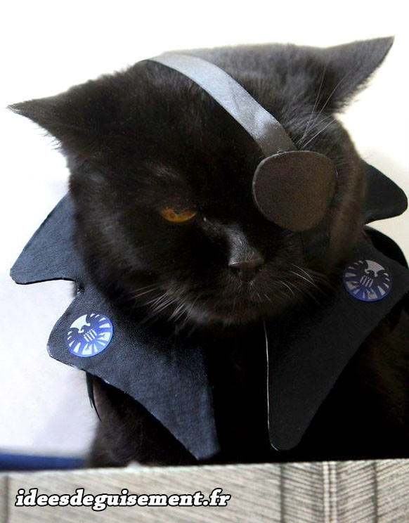 Déguisement chat pirate noir