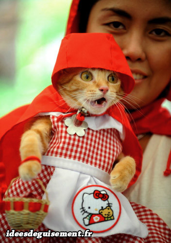 Déguisement chat petit chaperon rouge hello Kitty
