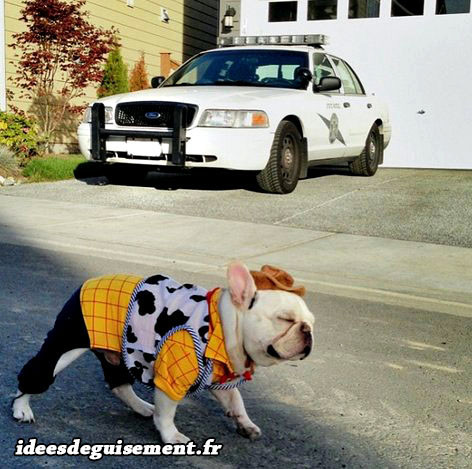 Déguisement de sheriff bulldog
