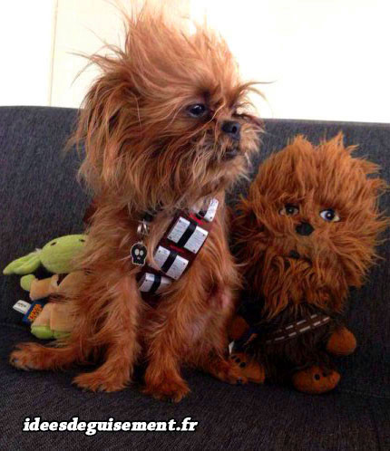 Costume de Chewbacca réaliste pour chien