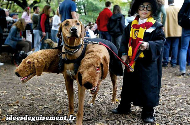 Déguisement de magicien Harry Potter et du chien à trois têtes