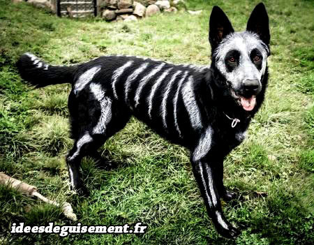 Déguisement chien peint en squelette blanc