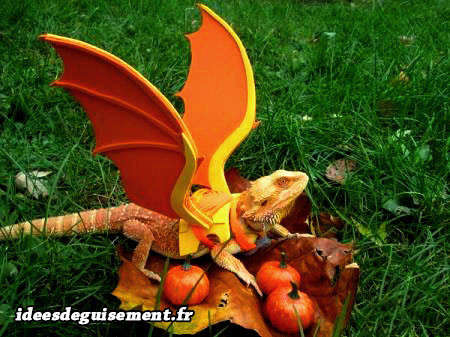 Déguisement d'iguane lézard en dragon dracaufeu drogon orange