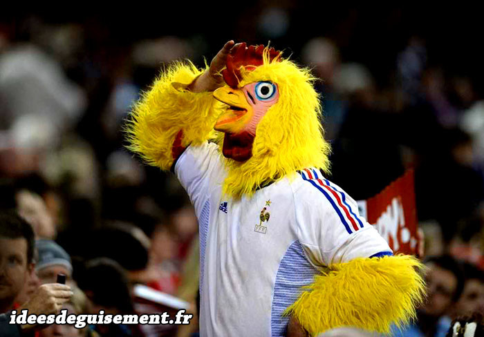 Costume de coq/poulet supporter de l'équipe de France