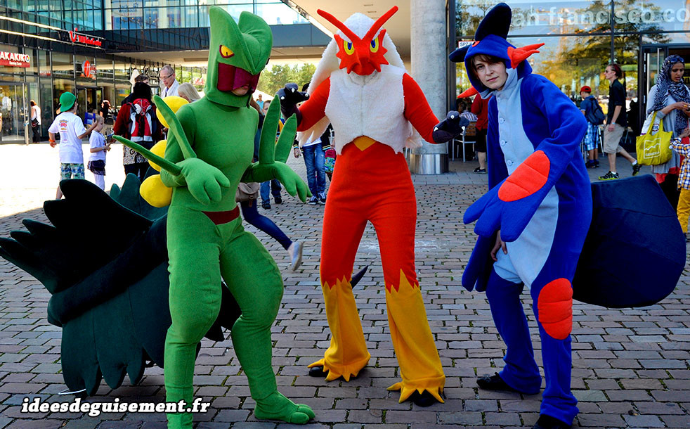 Idées Déguisement Pokémon & Cosplay Pokémon